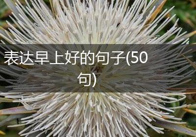表达早上好的句子(50句)