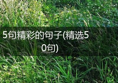 5句精彩的句子(精选50句)