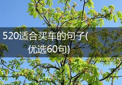 520适合买车的句子(优选60句)