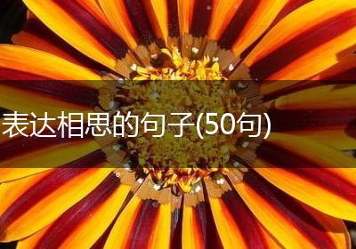 表达相思的句子(50句)