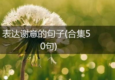 表达谢意的句子(合集50句)