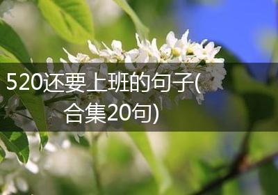 520还要上班的句子(合集20句)