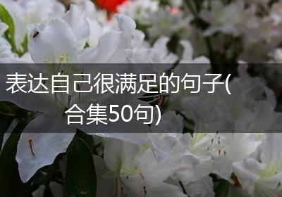 表达自己很满足的句子(合集50句)