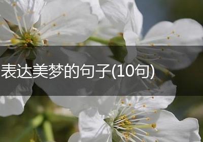 表达美梦的句子(10句)