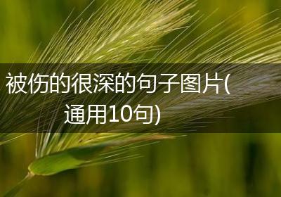 被伤的很深的句子图片(通用10句)