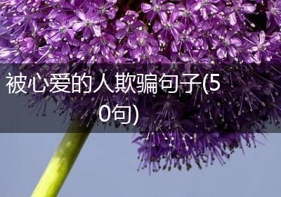 被心爱的人欺骗句子(50句)