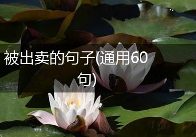 被出卖的句子(通用60句)