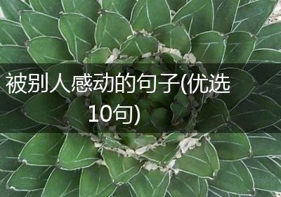 被别人感动的句子(优选10句)