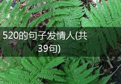 520的句子发情人(共39句)
