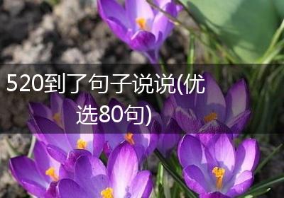 520到了句子说说(优选80句)