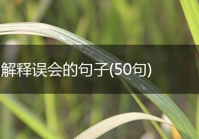 解释误会的句子(50句)