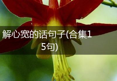 解心宽的话句子(合集15句)