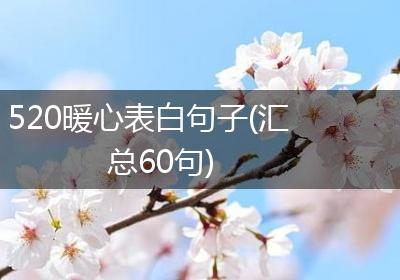 520暖心表白句子(汇总60句)