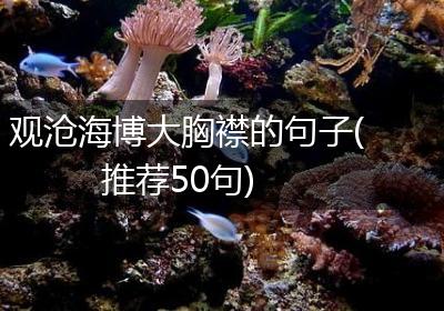 观沧海博大胸襟的句子(推荐50句)