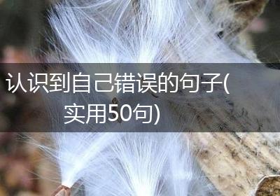 认识到自己错误的句子(实用50句)