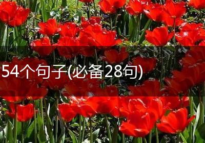 54个句子(必备28句)