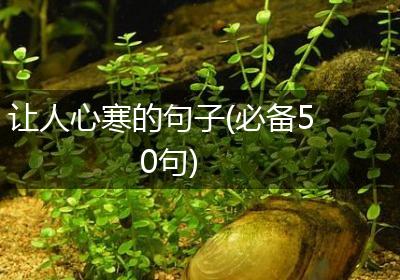 让人心寒的句子(必备50句)