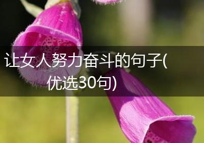 让女人努力奋斗的句子(优选30句)