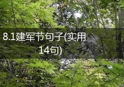 8.1建军节句子(实用14句)