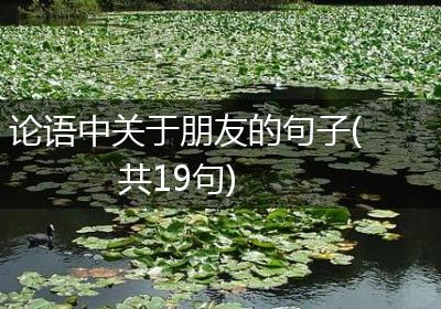 论语中关于朋友的句子(共19句)