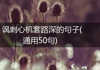 讽刺心机套路深的句子(通用50句)