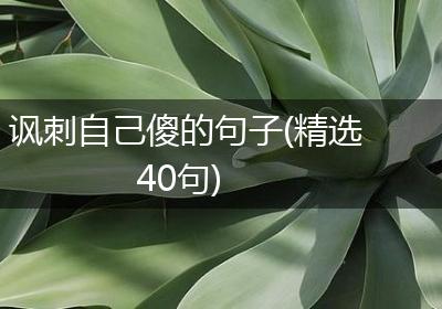 讽刺自己傻的句子(精选40句)