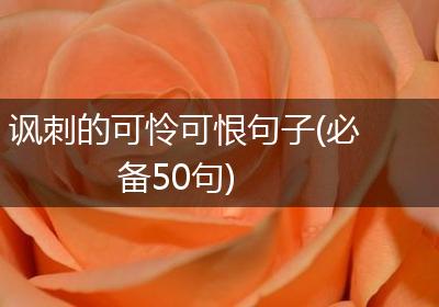 讽刺的可怜可恨句子(必备50句)