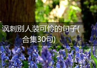 讽刺别人装可怜的句子(合集30句)