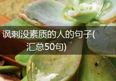 讽刺没素质的人的句子(汇总50句)