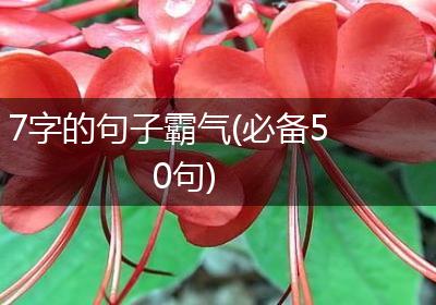 7字的句子霸气(必备50句)