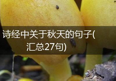 诗经中关于秋天的句子(汇总27句)