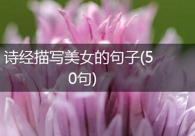 诗经描写美女的句子(50句)