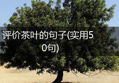 评价茶叶的句子(实用50句)