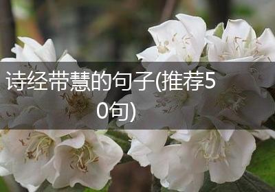 诗经带慧的句子(推荐50句)