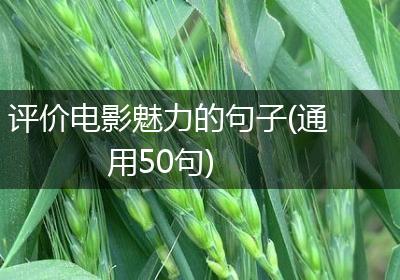 评价电影魅力的句子(通用50句)