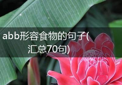 abb形容食物的句子(汇总70句)