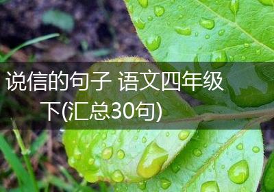 说信的句子 语文四年级下(汇总30句)