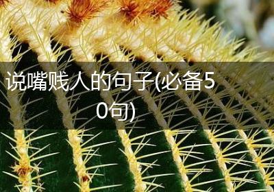 说嘴贱人的句子(必备50句)