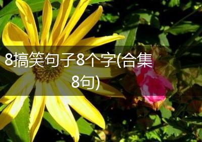 8搞笑句子8个字(合集8句)