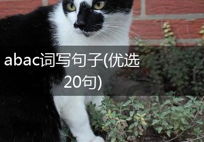 abac词写句子(优选20句)