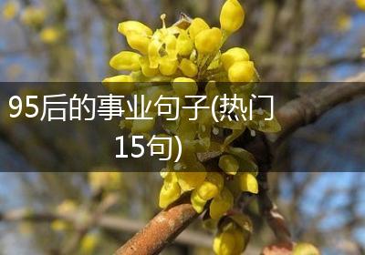 95后的事业句子(热门15句)