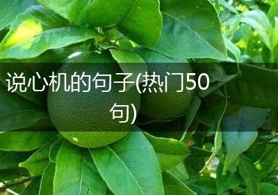 说心机的句子(热门50句)