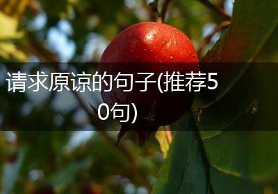 请求原谅的句子(推荐50句)