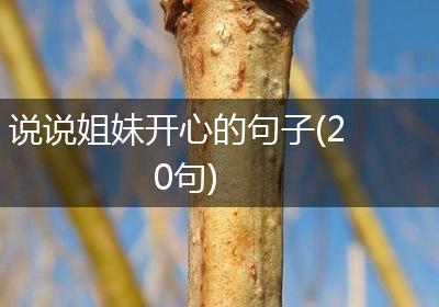说说姐妹开心的句子(20句)