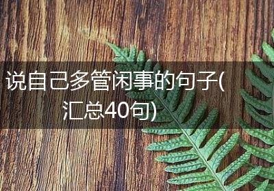 说自己多管闲事的句子(汇总40句)