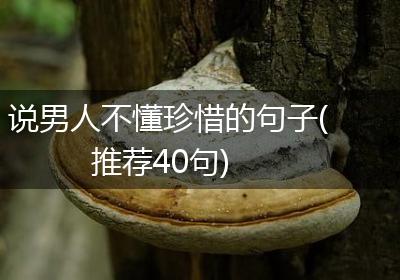 说男人不懂珍惜的句子(推荐40句)