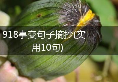918事变句子摘抄(实用10句)