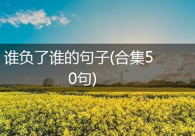 谁负了谁的句子(合集50句)
