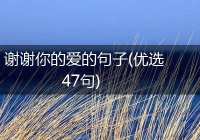 谢谢你的爱的句子(优选47句)