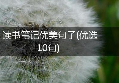 读书笔记优美句子(优选10句)